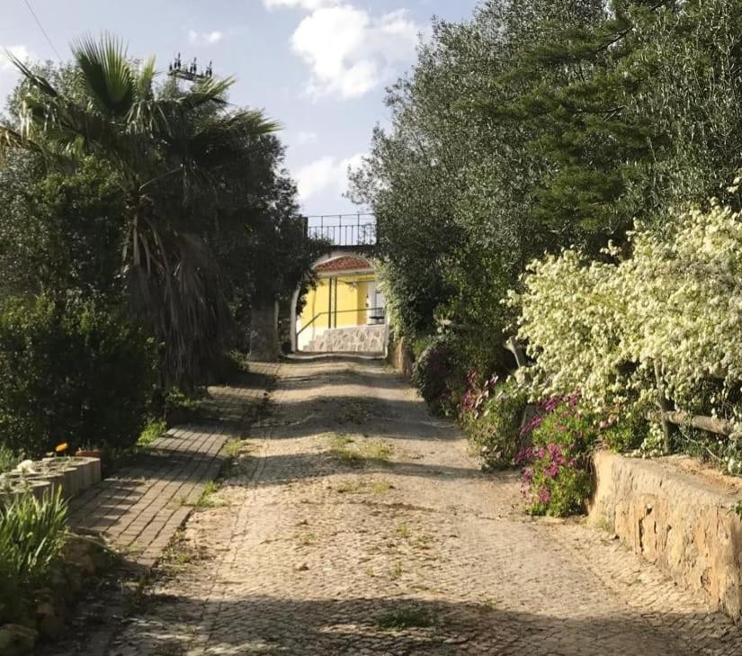 Quinta Dos Canais Setúbal Exterior foto